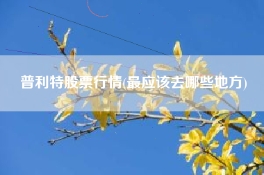 普利特股票行情(最应该去哪些地方)