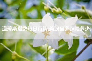 道琼斯指数每日行情(美股最多跌幅多少)