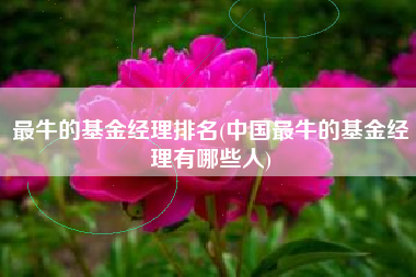 最牛的基金经理排名(中国最牛的基金经理有哪些人)