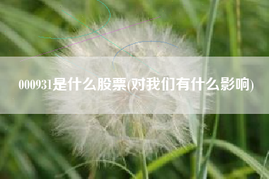 000931是什么股票(对我们有什么影响)