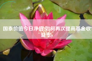 国泰价值今日净值(如何再次提高基金收益率)