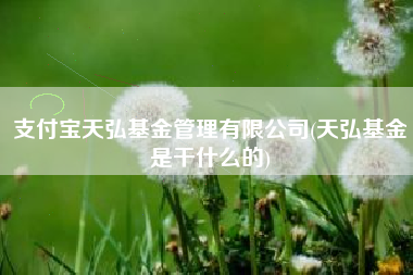 支付宝天弘基金管理有限公司(天弘基金是干什么的)