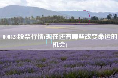 000428股票行情(现在还有哪些改变命运的机会)