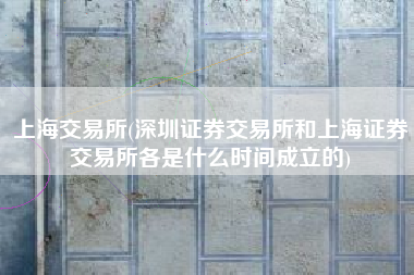 上海交易所(深圳证券交易所和上海证券交易所各是什么时间成立的)