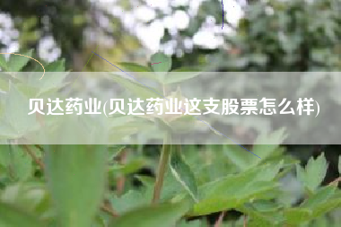贝达药业(贝达药业这支股票怎么样)