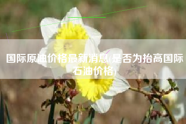 国际原油价格最新消息(是否为抬高国际石油价格)