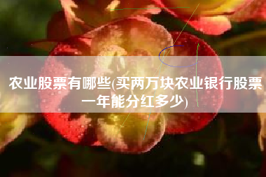 农业股票有哪些(买两万块农业银行股票一年能分红多少)