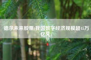 德尔未来股票(我国数字经济规模超45万亿元)