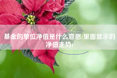 详细阅读:基金的单位净值是什么意思(里面显示的净值走势) 基金的单位净值是什么意思(里面显示的净值走势)