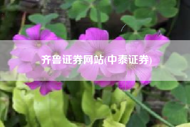 齐鲁证券网站(中泰证券)