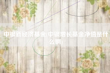 中银新经济基金(中银增长基金净值是什么啊)