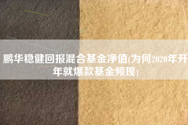 鹏华稳健回报混合基金净值(为何2020年开年就爆款基金频现)