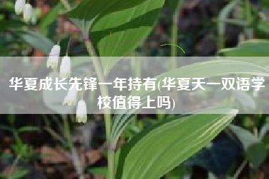 华夏成长先锋一年持有(华夏天一双语学校值得上吗)