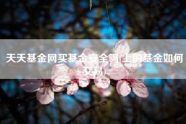 天天基金网买基金安全吗(上的基金如何交易)