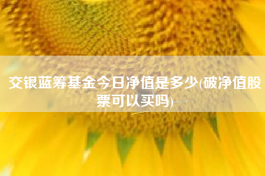 交银蓝筹基金今日净值是多少(破净值股票可以买吗)