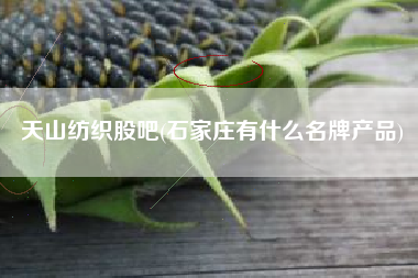 天山纺织股吧(石家庄有什么名牌产品)
