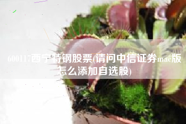 600117西宁特钢股票(请问中信证券mac版怎么添加自选股)
