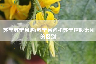 苏宁苏宁易购(苏宁易购和苏宁控股集团的区别)