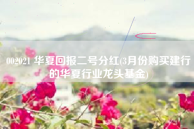 002021 华夏回报二号分红(3月份购买建行的华夏行业龙头基金)