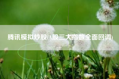 腾讯模拟炒股(A股三大指数全面回调)