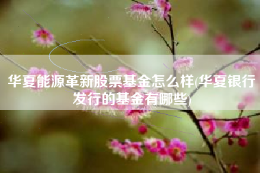 华夏能源革新股票基金怎么样(华夏银行发行的基金有哪些)