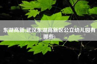 东湖高新(武汉东湖高新区公立幼儿园有哪些)