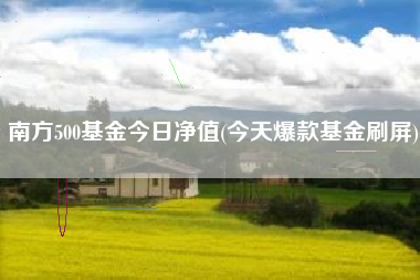 南方500基金今日净值(今天爆款基金刷屏)