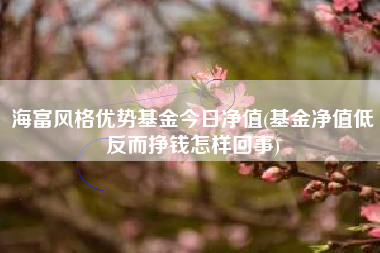 海富风格优势基金今日净值(基金净值低反而挣钱怎样回事)