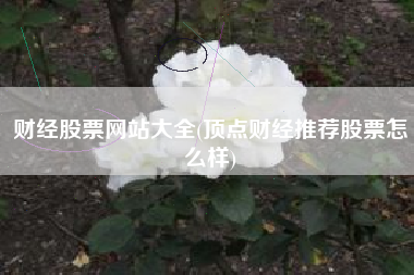 财经股票网站大全(顶点财经推荐股票怎么样)