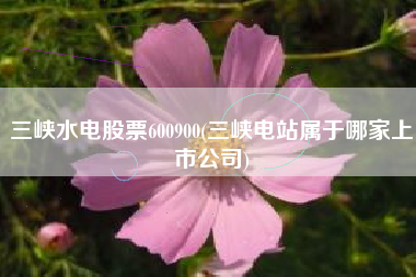 三峡水电股票600900(三峡电站属于哪家上市公司)