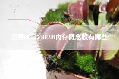 股票002185(DRAM内存概念股有哪些)