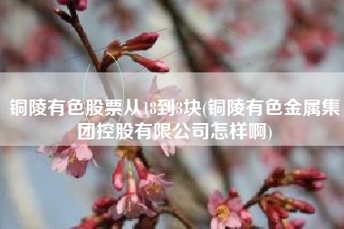 铜陵有色股票从18到3块(铜陵有色金属集团控股有限公司怎样啊)