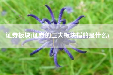 证券板块(证券的三大板块指的是什么)