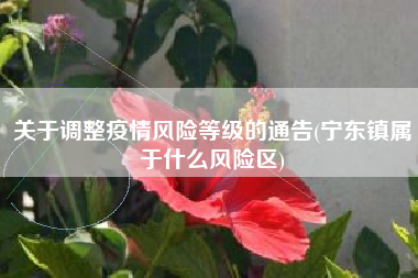 关于调整疫情风险等级的通告(宁东镇属于什么风险区)