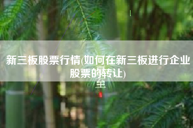 新三板股票行情(如何在新三板进行企业股票的转让)