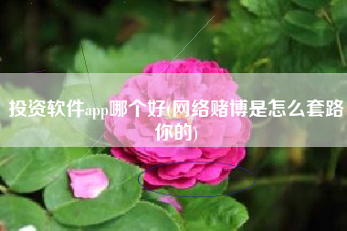 投资软件app哪个好(网络赌博是怎么套路你的)