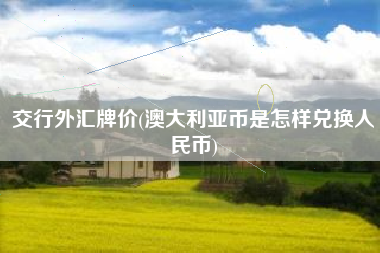 交行外汇牌价(澳大利亚币是怎样兑换人民币)