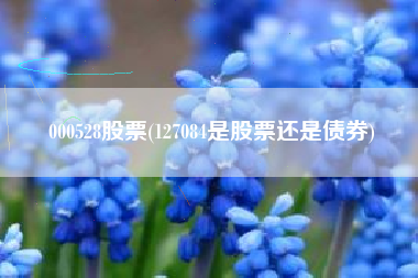 000528股票(127084是股票还是债券)