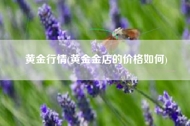黄金行情(黄金金店的价格如何)