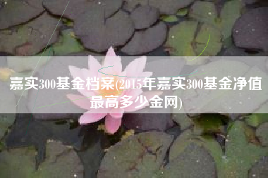 嘉实300基金档案(2015年嘉实300基金净值最高多少金网)