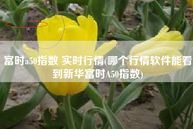 富时a50指数 实时行情(哪个行情软件能看到新华富时A50指数)
