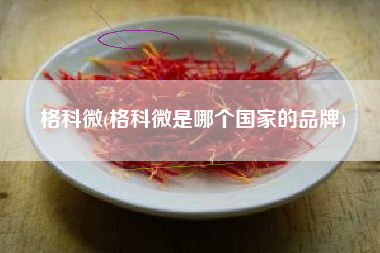 格科微(格科微是哪个国家的品牌)
