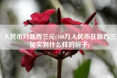 人民币对新西兰元(100万人民币在新西兰能买到什么样的房子)