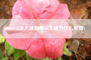 000038深大通股票(st大通为什么戴帽)