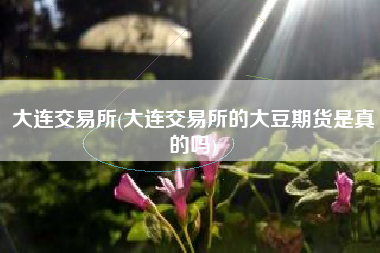 大连交易所(大连交易所的大豆期货是真的吗)