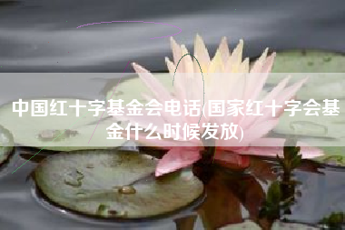 中国红十字基金会电话(国家红十字会基金什么时候发放)