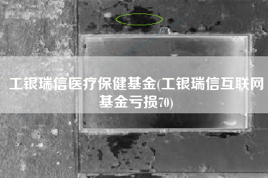 工银瑞信医疗保健基金(工银瑞信互联网基金亏损70)
