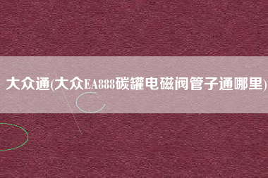 大众通(大众EA888碳罐电磁阀管子通哪里)