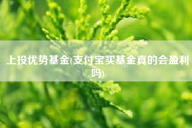 上投优势基金(支付宝买基金真的会盈利吗)