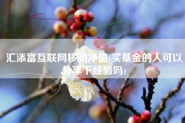 汇添富互联网移动净值(买基金的人可以分享下经验吗)